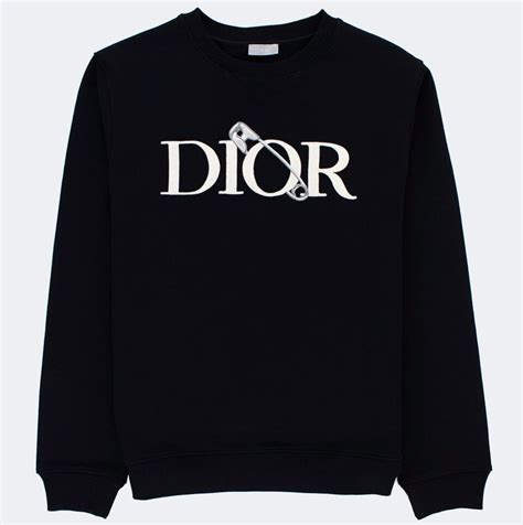 dior and judy blame hoodie|DIOR AND JUDY BLAME Hooded Windbreaker Black Technical .